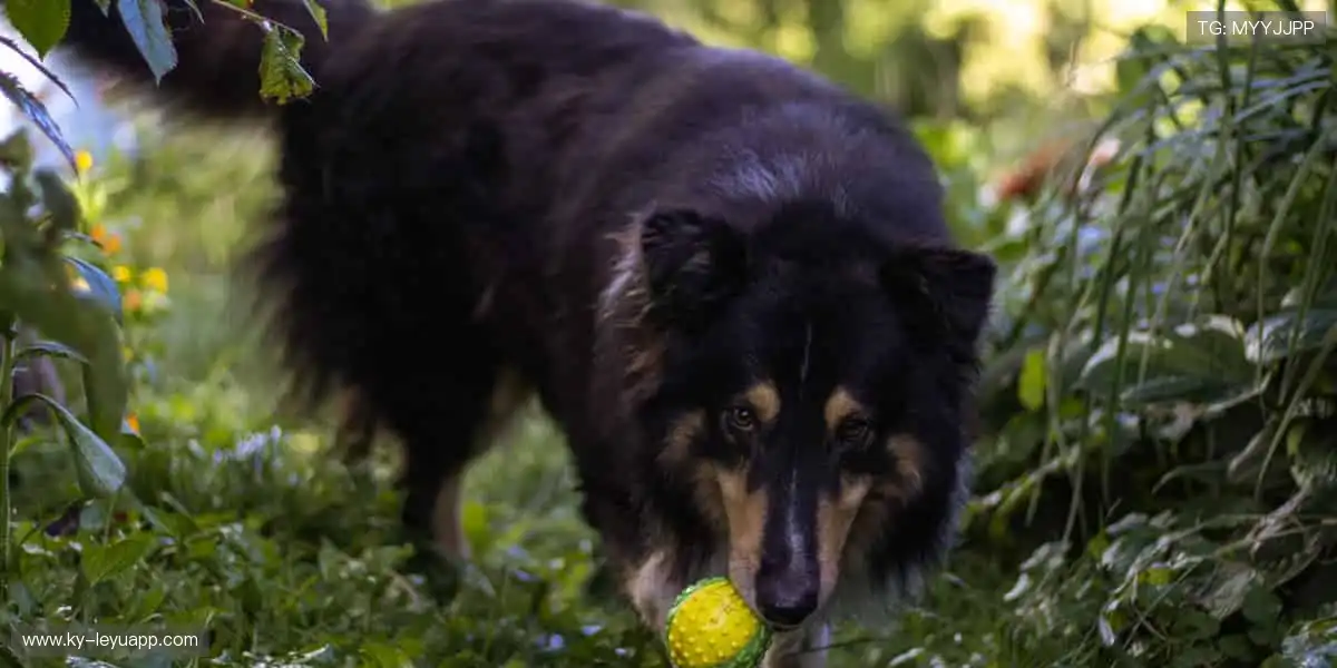 ⚡️ 实时比分，掌握赛事脉搏！