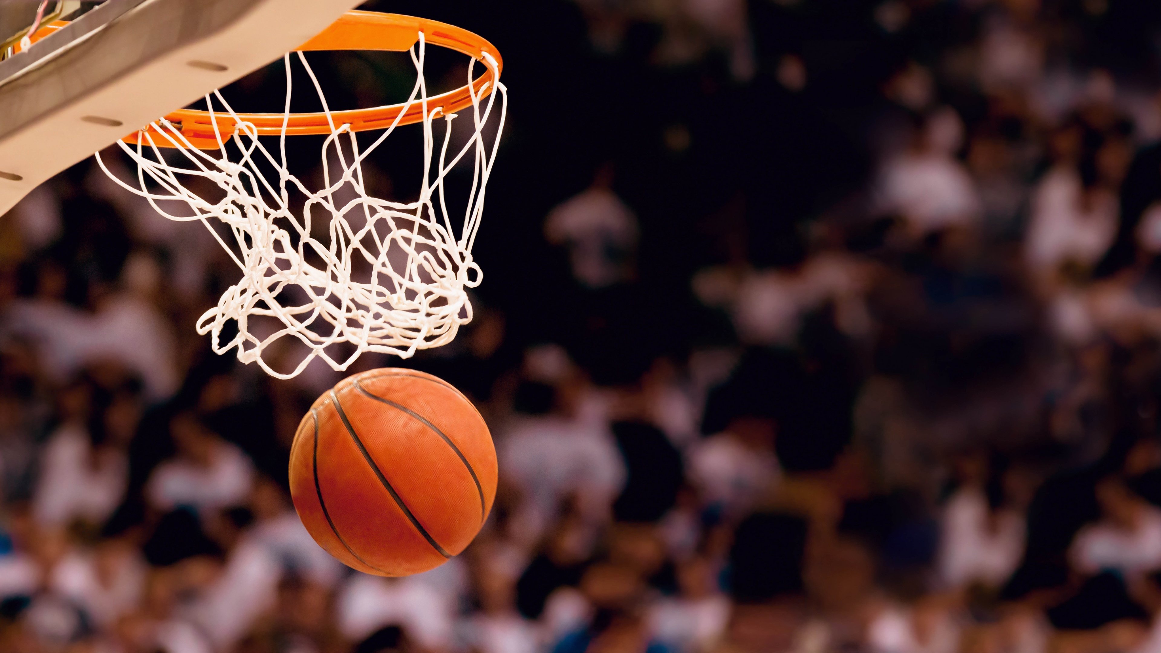 乐鱼体育APP官方下载-NBA比赛场馆设施升级，nba场馆能容纳多少人
